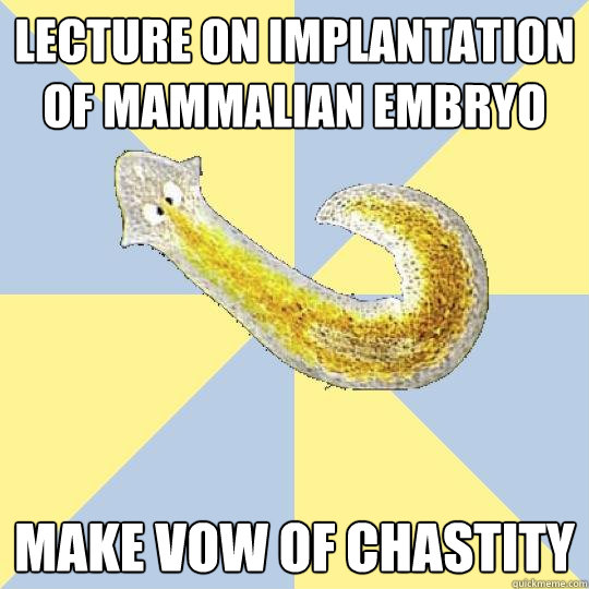 lecture on implantation of mammalian embryo  make vow of chastity  Bio Major Planarian