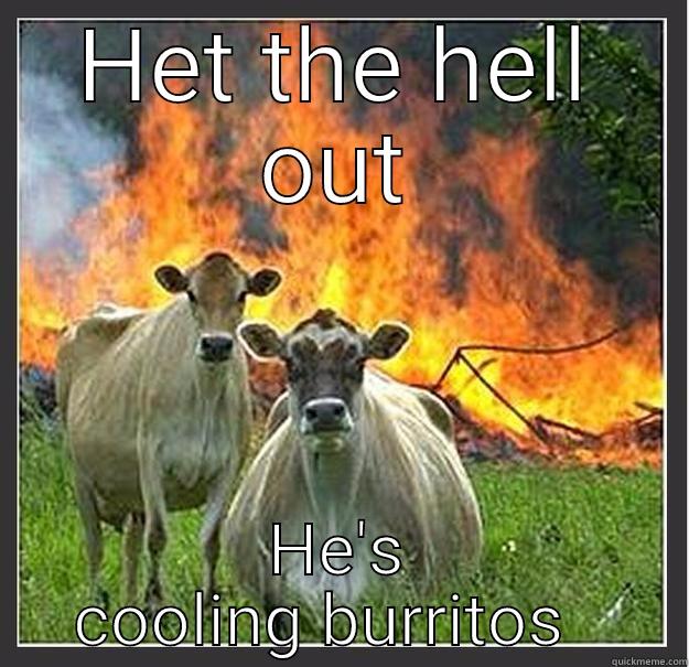 HET THE HELL OUT HE'S COOLING BURRITOS   Evil cows