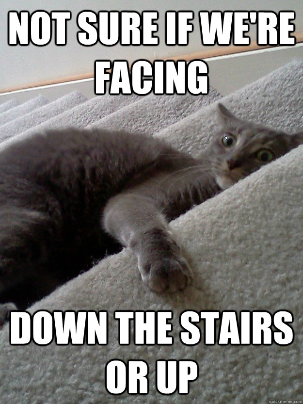 not sure if we're facing  down the stairs or up  Crazy Cat