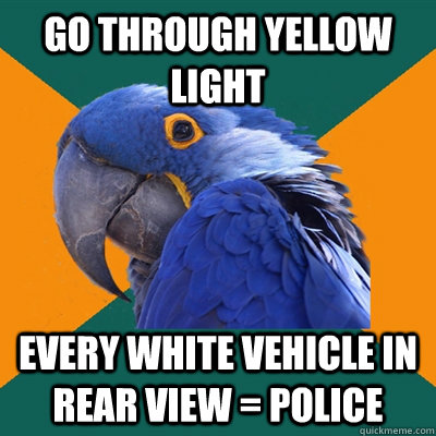 Go through yellow light every white vehicle in rear view = police  Paranoid Parrot