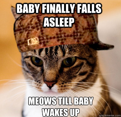 baby finally falls asleep Meows till baby wakes up  Scumbag Cat