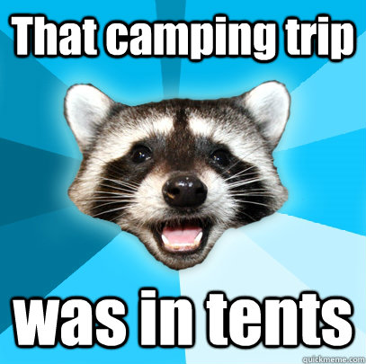 That camping trip was in tents  Lame Pun Coon