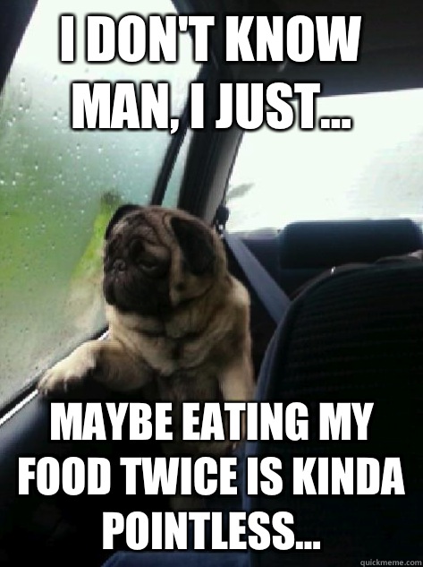 I don't know man, I just... Maybe eating my food twice is kinda pointless...  Introspective Pug