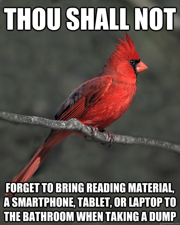Thou shall not Forget to bring reading material, a smartphone, tablet, or laptop to the bathroom when taking a dump - Thou shall not Forget to bring reading material, a smartphone, tablet, or laptop to the bathroom when taking a dump  Cardinal Sins