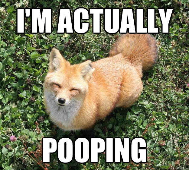 I'm actually Pooping  Awkward Fox