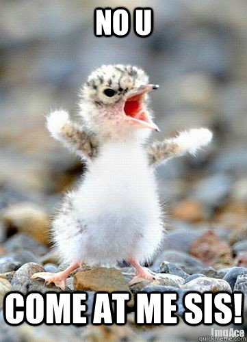 No U Come at me sis! - No U Come at me sis!  come at me bro baby bird