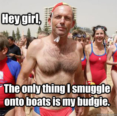 Hey girl, The only thing I smuggle onto boats is my budgie. - Hey girl, The only thing I smuggle onto boats is my budgie.  Hey Girl Tony Abbott