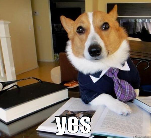 i love to create meme -  YES Lawyer Dog