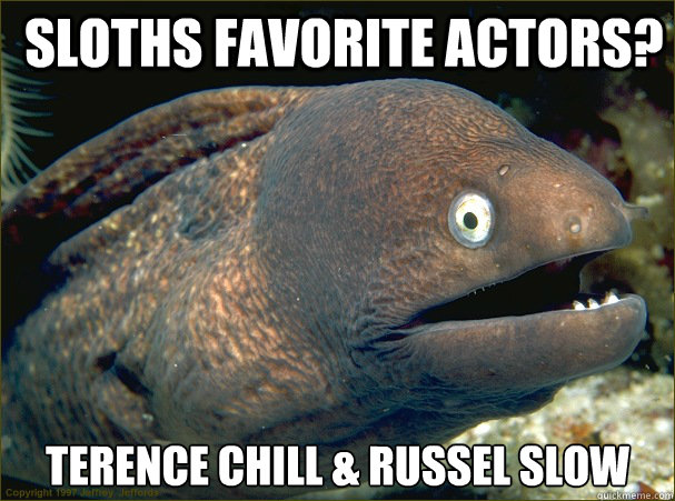 Sloths favorite actors? Terence Chill & Russel slow  Bad Joke Eel