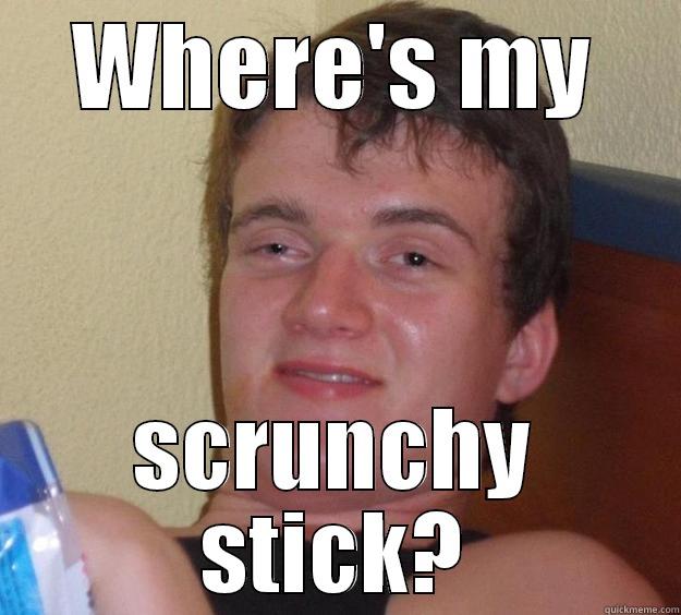 WHERE'S MY SCRUNCHY STICK? 10 Guy