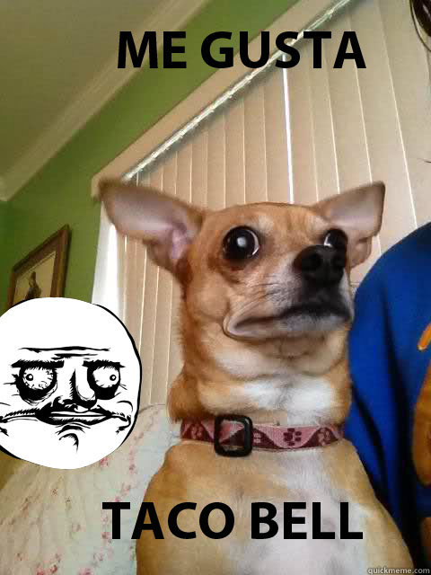   me gusta dog