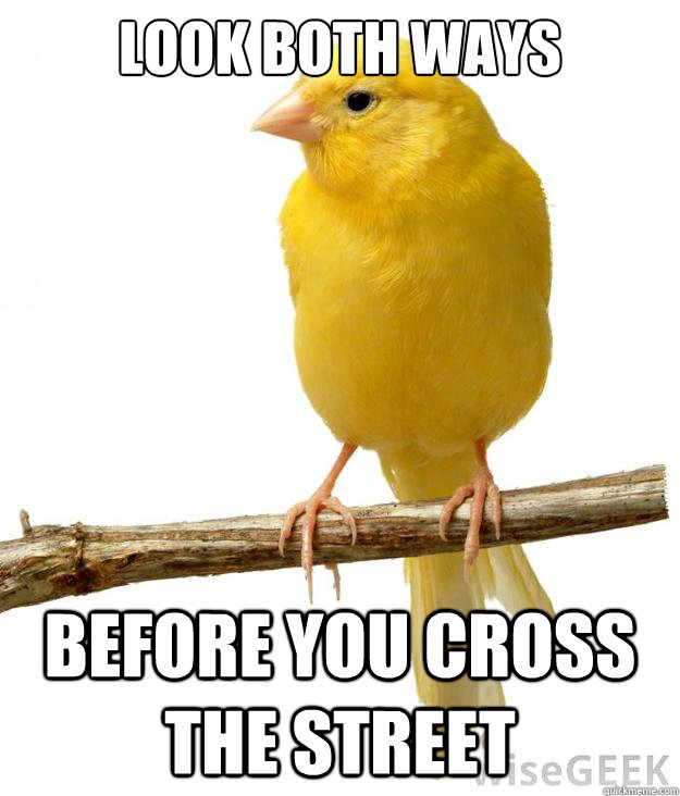 Look both ways before you cross the street - Look both ways before you cross the street  Misc