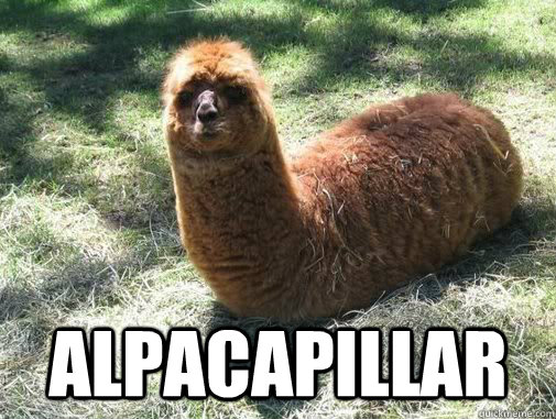  alpacapillar  Alpacapillar