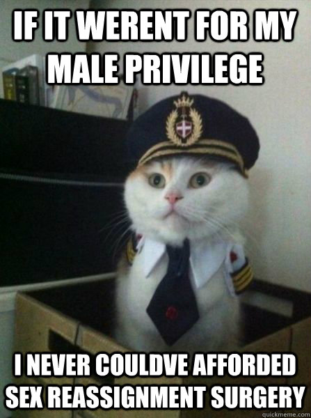 if it werent for my male privilege i never couldve afforded sex reassignment surgery - if it werent for my male privilege i never couldve afforded sex reassignment surgery  Captain kitteh