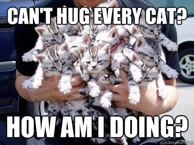 Can't hug every cat? How am I doing?  So many cats