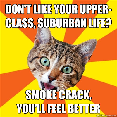 Don't like your upper-class, suburban life? SMOKE CRACK, 
YOU'LL FEEL BETTER - Don't like your upper-class, suburban life? SMOKE CRACK, 
YOU'LL FEEL BETTER  Bad Advice Cat