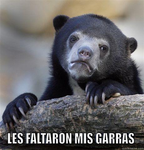  LES FALTARON MIS GARRAS Confession Bear