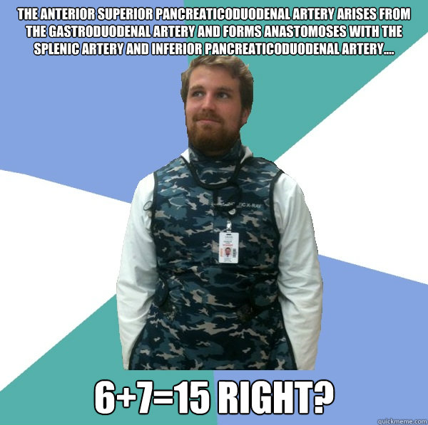 The Anterior superior pancreaticoduodenal artery arises from the gastroduodenal artery and forms anastomoses with the splenic artery and inferior pancreaticoduodenal artery....  6+7=15 right?  Unabridged First Year Medical Student