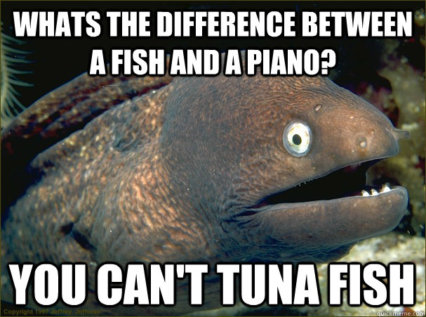 Whats the difference between a fish and a piano? you can't tuna fish  Bad Joke Eel