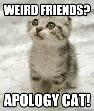 Weird friends? apology Cat! - Weird friends? apology Cat!  Sad cat