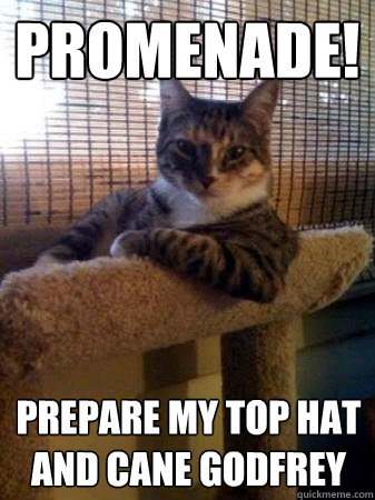 Promenade! Prepare my top hat and cane Godfrey  The Most Interesting Cat in the World