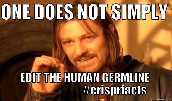 ONE DOES NOT SIMPLY  EDIT THE HUMAN GERMLINE                            #CRISPRFACTS Boromir