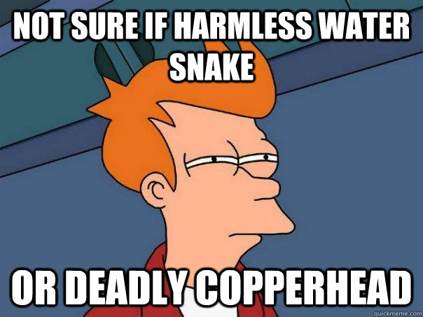 not sure if harmless water snake or deadly copperhead  Futurama Fry