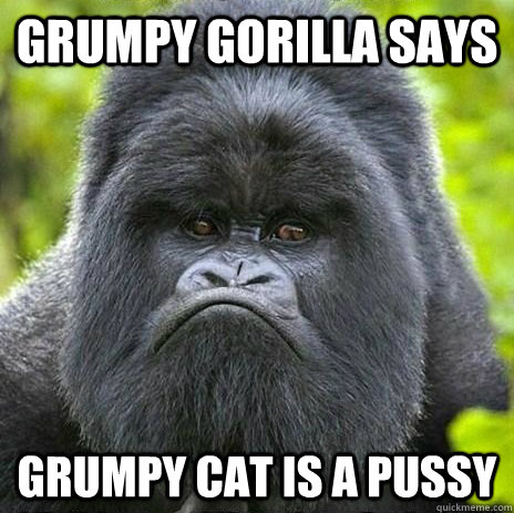 Grumpy Gorilla says Grumpy Cat is a Pussy  