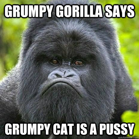 Grumpy Gorilla says Grumpy Cat is a Pussy - Grumpy Gorilla says Grumpy Cat is a Pussy  Grumpy Gorilla