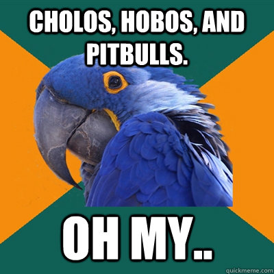 Cholos, hobos, and pitbulls. Oh My..  Paranoid Parrot