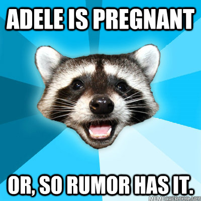 Adele is pregnant Or, so rumor has it.   Lame Pun Raccoon