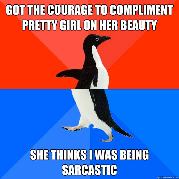 Got the courage to compliment pretty girl on her beauty she thinks i was being sarcastic  Socially Awesome Awkward Penguin