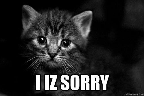 I iz sorry   Unloved Geek Kitten