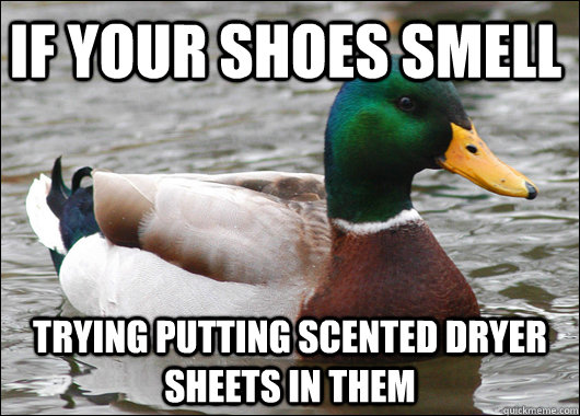 if your shoes smell trying putting scented dryer sheets in them   Actual Advice Mallard