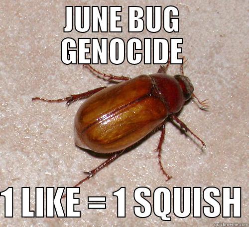 JUNE BUG GENOCIDE  1 LIKE = 1 SQUISH Misc