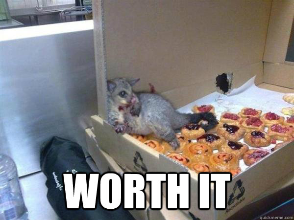  Worth It -  Worth It  10 Possum