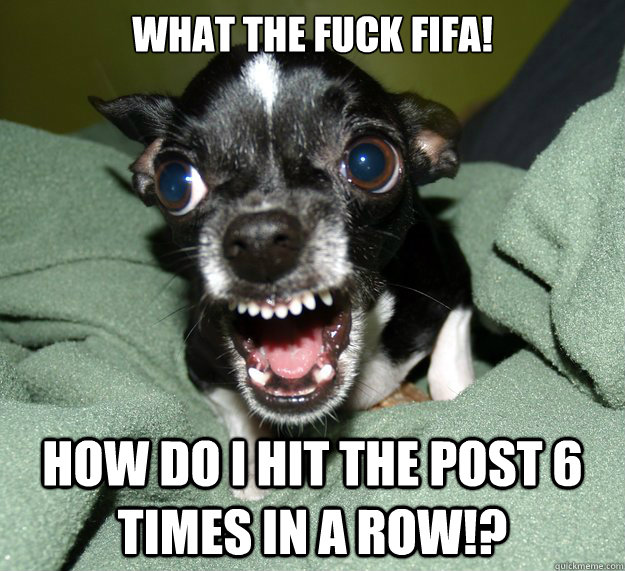 what the fuck fifa! how do i hit the post 6 times in a row!?  Chihuahua Logic