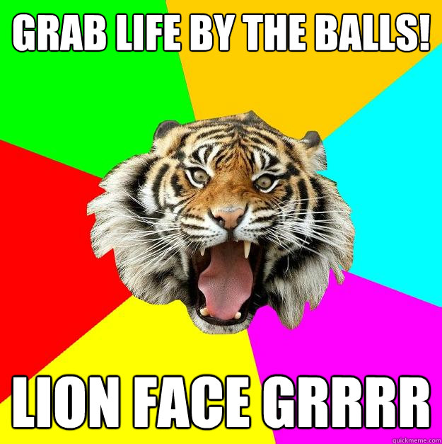 grab life by the balls! lion face grrrr - grab life by the balls! lion face grrrr  Time of the Month Tiger