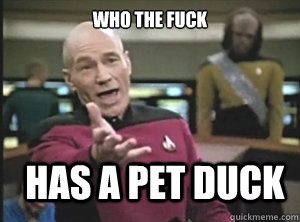who the fuck has a pet duck  Annoyed Picard