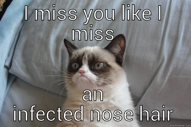 Larrys love - I MISS YOU LIKE I MISS AN INFECTED NOSE HAIR Grumpy Cat