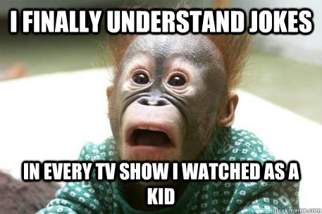 I finally understand jokes in every tv show i watched as a kid - I finally understand jokes in every tv show i watched as a kid  Sudden realization