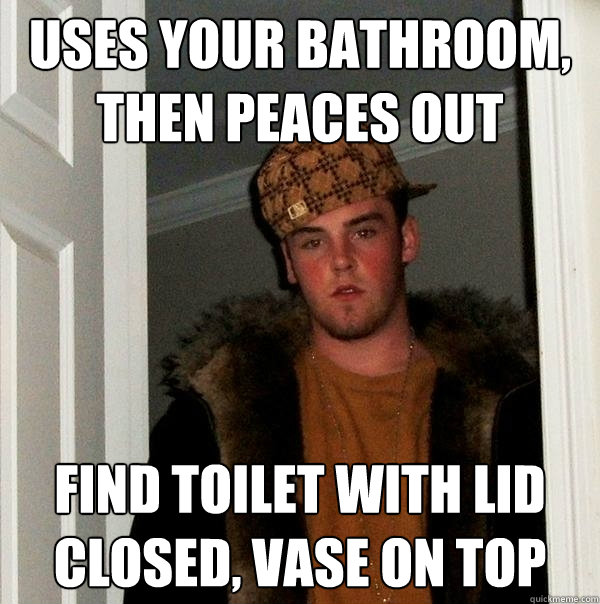Uses your bathroom, then peaces out Find toilet with lid closed, vase on top  Scumbag Steve