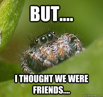 But.... I thought we were friends....  Misunderstood Spider