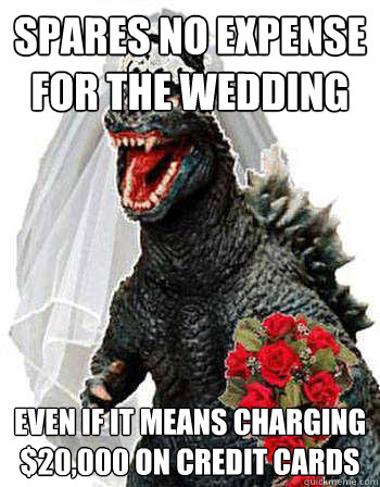 spares no expense for the wedding even if it means charging $20,000 on credit cards - spares no expense for the wedding even if it means charging $20,000 on credit cards  Bridezilla