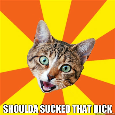  shoulda sucked that dick  Bad Advice Cat