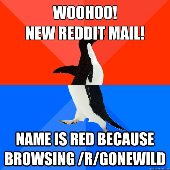 Woohoo! 
New Reddit Mail! Name is red because browsing /r/gonewild  Socially Awesome Awkward Penguin