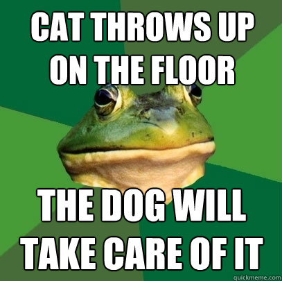 cat throws up on the floor the dog will take care of it  Foul Bachelor Frog