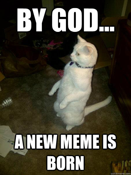 By God... A new meme is born - By God... A new meme is born  Mr.Mustard