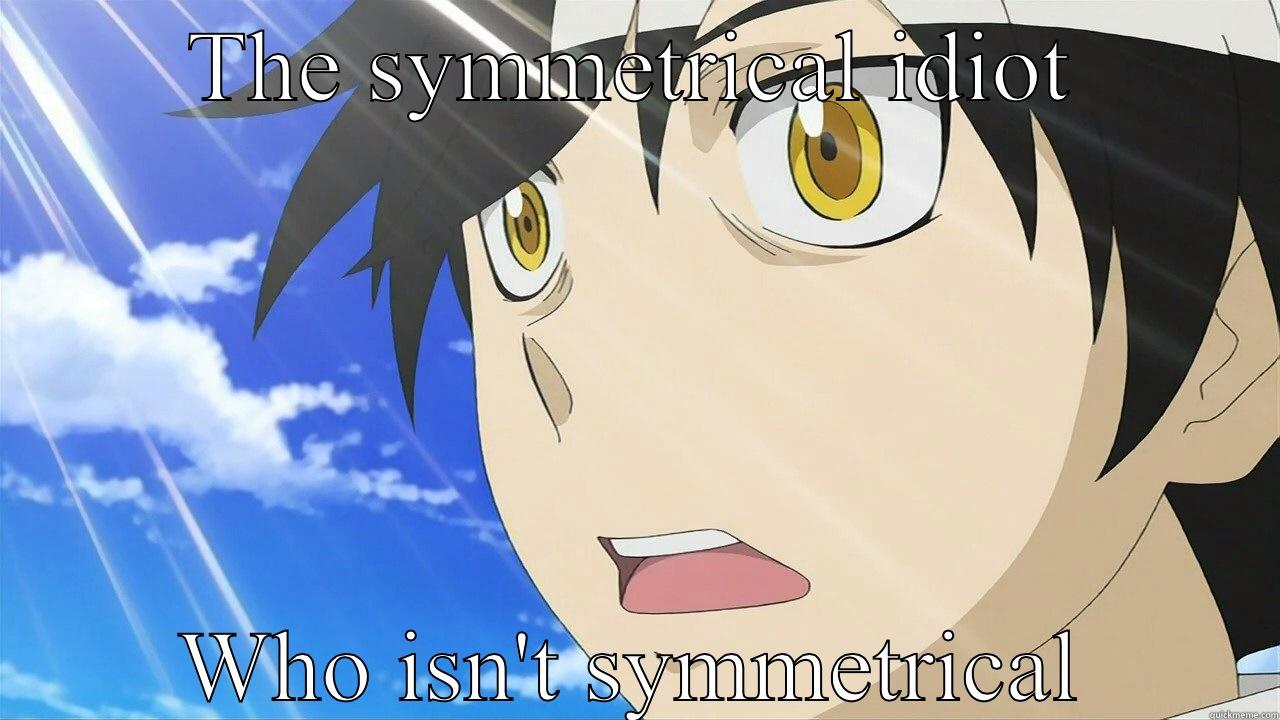 THE SYMMETRICAL IDIOT WHO ISN'T SYMMETRICAL Misc