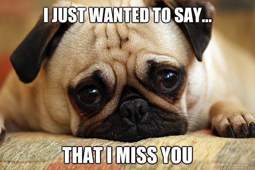 I Just Wanted To Say... That I Miss You - I Just Wanted To Say... That I Miss You  sad pug